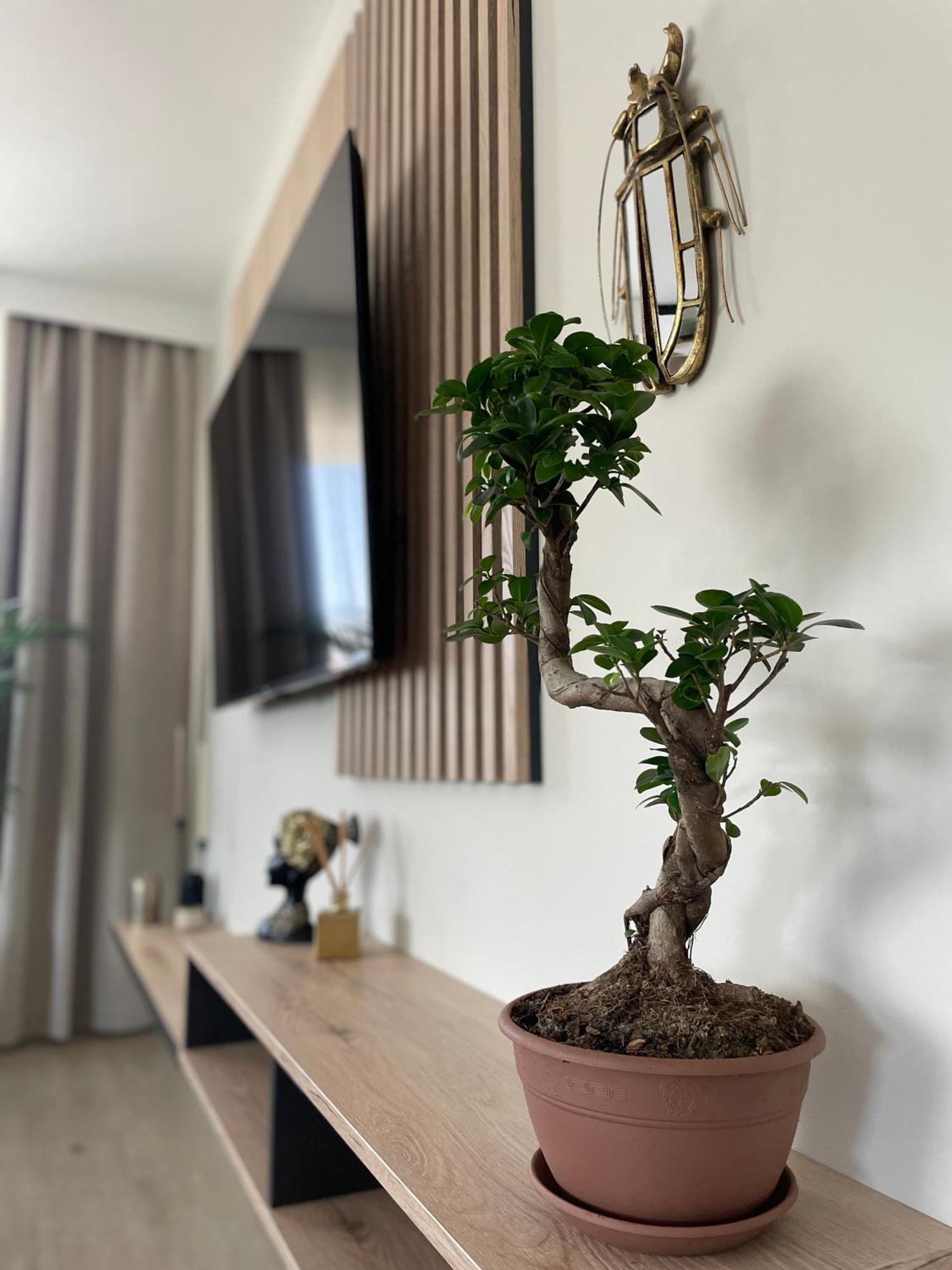 Apartament 13 Kielce Luaran gambar